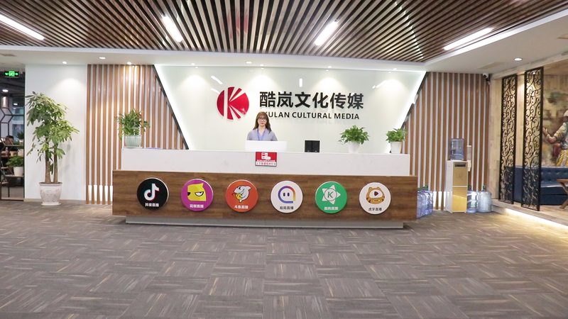 产品宣传片脚本结构揭秘：如何打造高效传播力